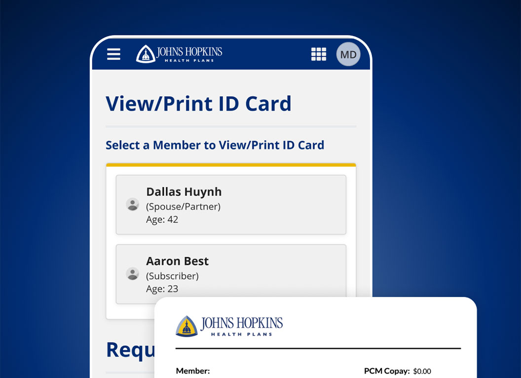 Screen shot image of the member portal